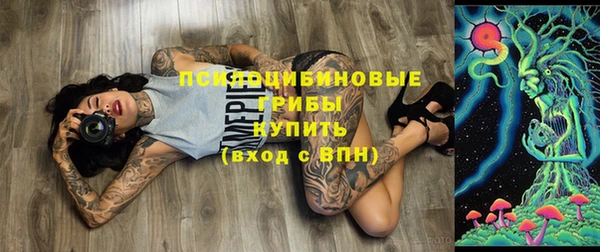 молекула духа Нягань
