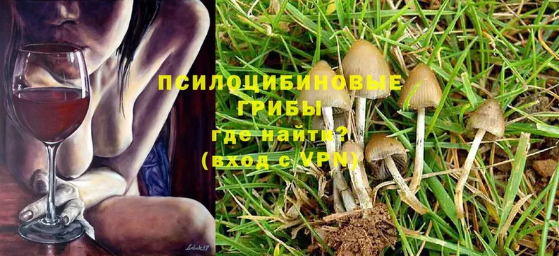 Псилоцибиновые грибы Magic Shrooms  Межгорье 